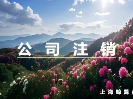 公司营业执照注销需要提供哪些资料和流程