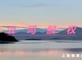 股权的分类情况都有哪些